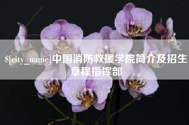 雄安新区中国消防救援学院简介及招生章程指挥部
