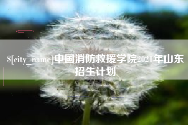 雄安新区中国消防救援学院2021年山东招生计划