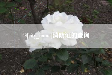 雄安新区消防证的查询