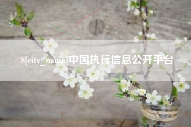 雄安新区中国执行信息公开平台