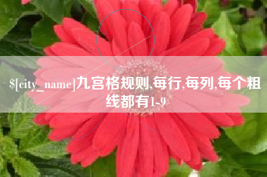 雄安新区九宫格规则,每行,每列,每个粗线都有1-9