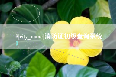 雄安新区消防证初级查询系统