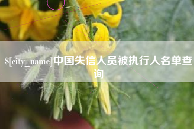 雄安新区中国失信人员被执行人名单查询