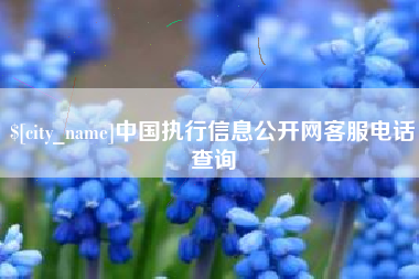 雄安新区中国执行信息公开网客服电话查询