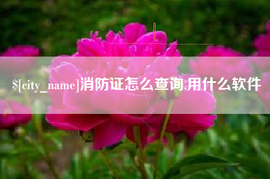 雄安新区消防证怎么查询,用什么软件