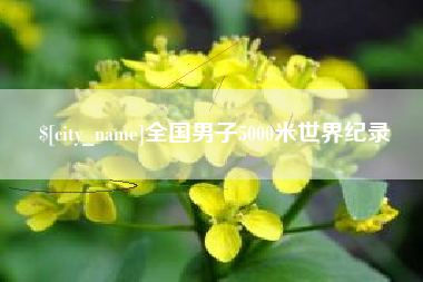 雄安新区全国男子5000米世界纪录