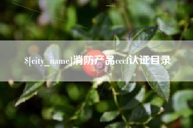 雄安新区消防产品cccf认证目录