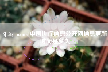 雄安新区中国执行信息公开网信息更新时间是多久