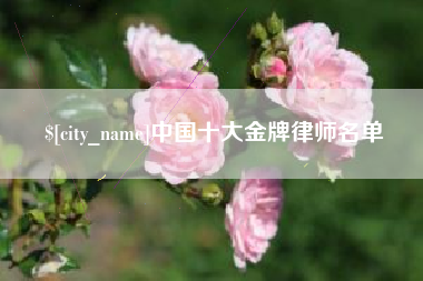 雄安新区中国十大金牌律师名单