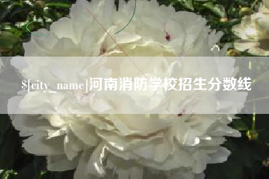 雄安新区河南消防学校招生分数线