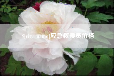 雄安新区应急救援员价格