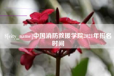 雄安新区中国消防救援学院2021年报名时间