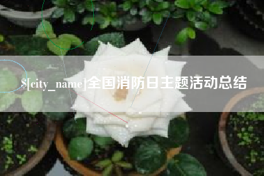 雄安新区全国消防日主题活动总结