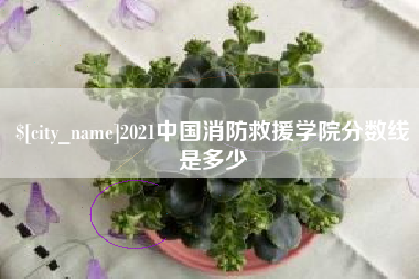 雄安新区2021中国消防救援学院分数线是多少