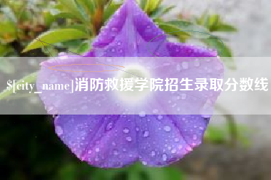 雄安新区消防救援学院招生录取分数线