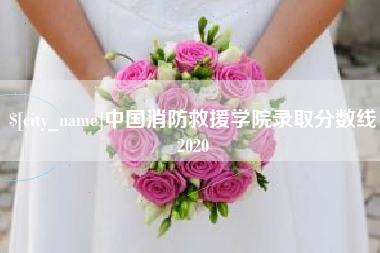 雄安新区中国消防救援学院录取分数线2020