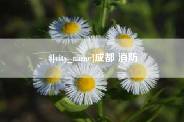 雄安新区成都 消防