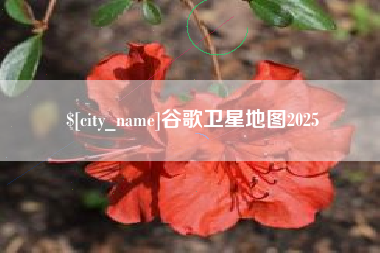 雄安新区谷歌卫星地图2025