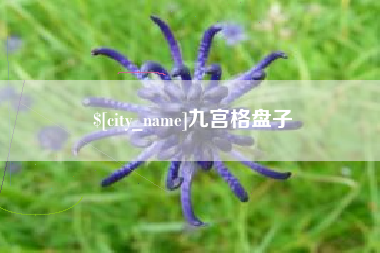 雄安新区九宫格盘子