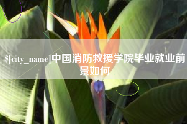 雄安新区中国消防救援学院毕业就业前景如何