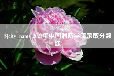 雄安新区2021年中国消防学院录取分数线