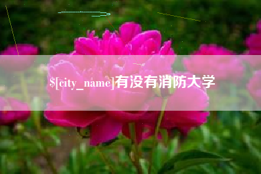 雄安新区有没有消防大学