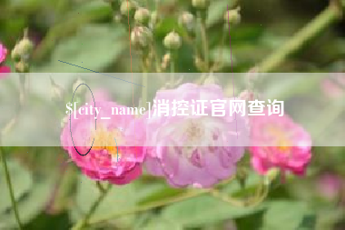 雄安新区消控证官网查询