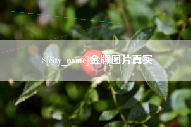 雄安新区金牌图片真实