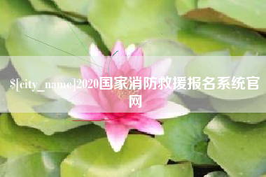 雄安新区2020国家消防救援报名系统官网