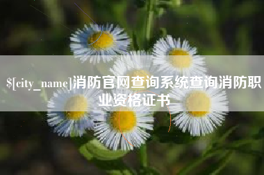 雄安新区消防官网查询系统查询消防职业资格证书