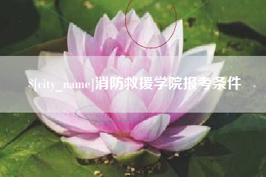 雄安新区消防救援学院报考条件