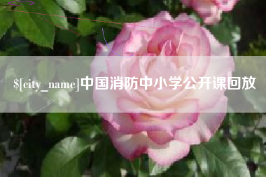 雄安新区中国消防中小学公开课回放