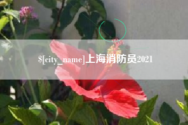雄安新区上海消防员2021