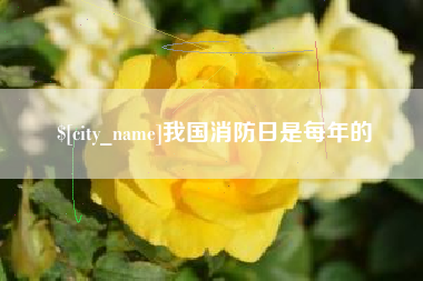 雄安新区我国消防日是每年的