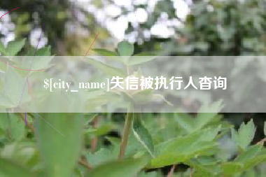 雄安新区失信被执行人杳询
