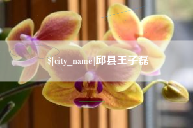 雄安新区邱县王子磊