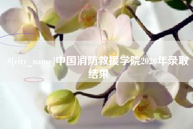 雄安新区中国消防救援学院2020年录取结果