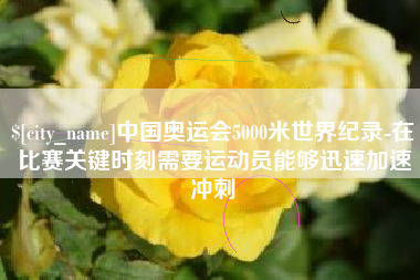 雄安新区中国奥运会5000米世界纪录-在比赛关键时刻需要运动员能够迅速加速冲刺