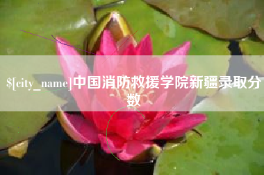 雄安新区中国消防救援学院新疆录取分数