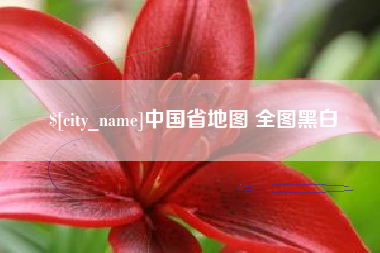 雄安新区中国省地图 全图黑白