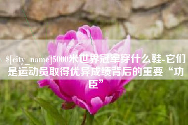 雄安新区5000米世界冠军穿什么鞋-它们是运动员取得优异成绩背后的重要“功臣”