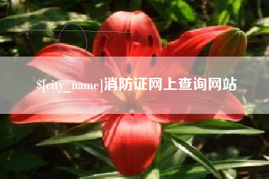 雄安新区消防证网上查询网站
