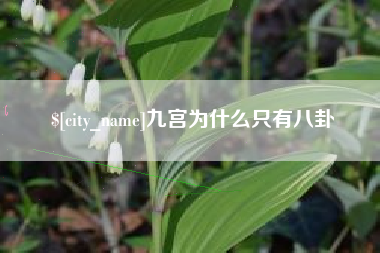 雄安新区九宫为什么只有八卦