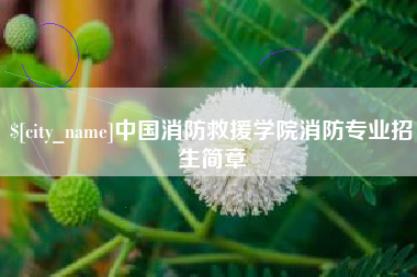 雄安新区中国消防救援学院消防专业招生简章