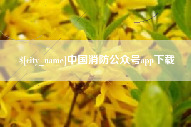 雄安新区中国消防公众号app下载
