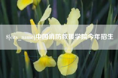 雄安新区中国消防救援学院今年招生