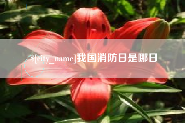 雄安新区我国消防日是哪日