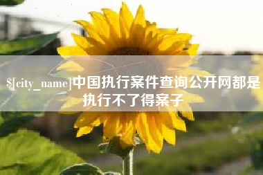 雄安新区中国执行案件查询公开网都是执行不了得案子