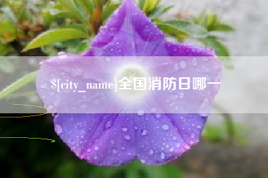 雄安新区全国消防日哪一