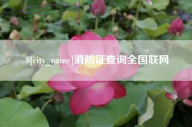 雄安新区消防证查询全国联网